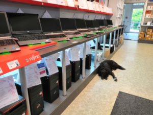 bester Shop für gebrauchte Notebook Laptop